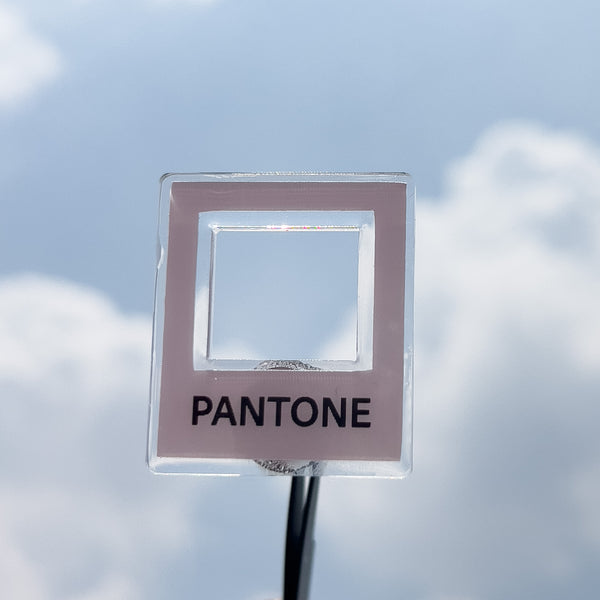 Pin Pantone